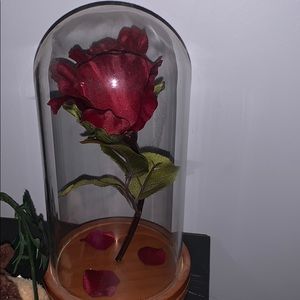 Beauty and the beast rose